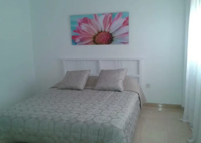 Apartamento Confortable Piso En El Centro De Tenerife Santa Cruz de Tenerife